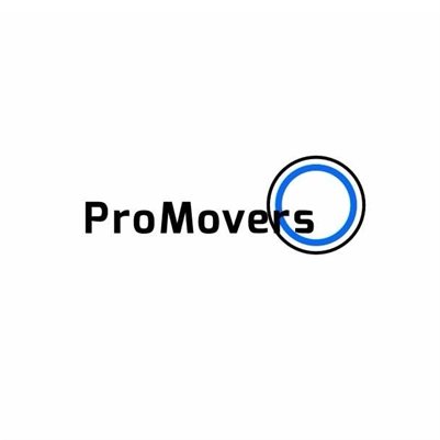  Pro Movers  Miami